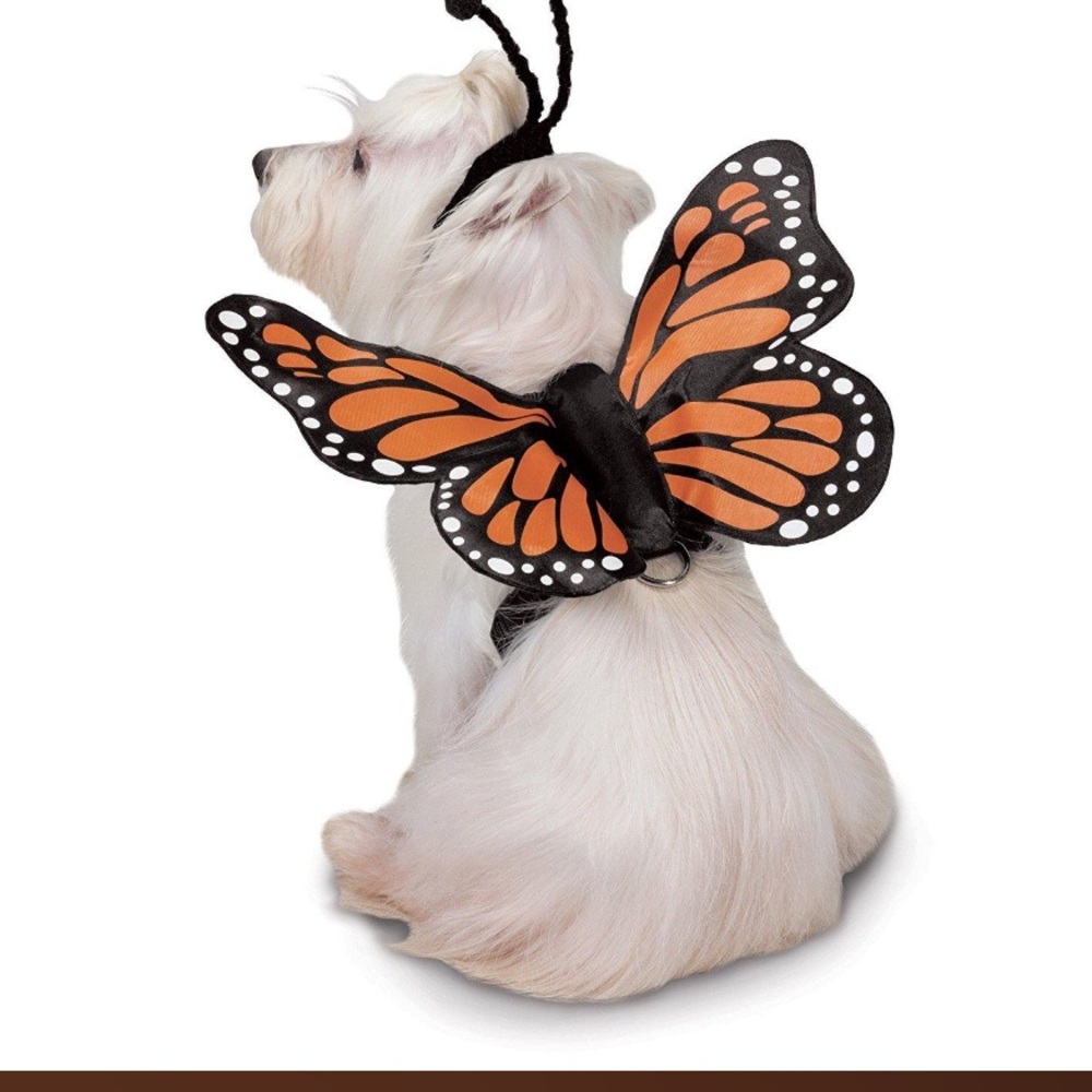 ๐ 3/for $20 in a BUNDLE Bootique Butterfly Harness Costume - Picture 9 of 13